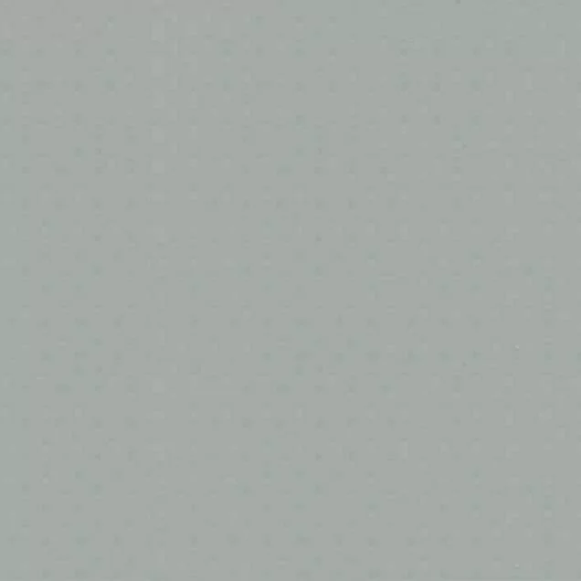 Лайнер Cefil Classic Gris Clair (светло серый) 2.05x25.2m (51,66м.кв)